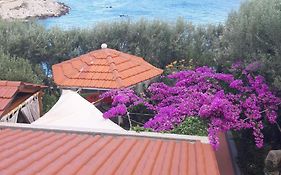 Apartments Luka